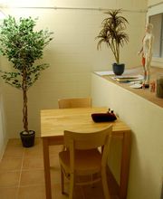 TCM Praxis Bischof Bild 2