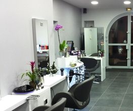 Elévation Coiffure image 1