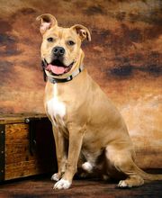 Éduc'Instinct image 6