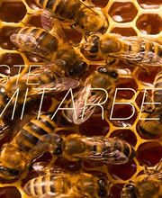 Joh. Schlösser GmbH Bild 2