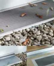 Insekta Schädlingstechnik GmbH Bild 3