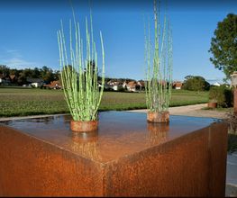 Glauser Gartengestaltung GmbH Bild 1