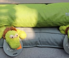 Schönes Hundeleben Bild 4