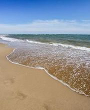 Barceló Isla Canela imagen 8