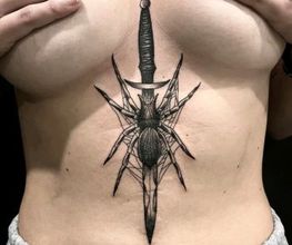 tatu12.jpg