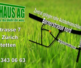 Grünhaus AG Bild 3
