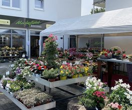 MEISTERFLORIST Boecking Bild 1