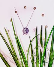 HNO-Praxis am Schloss Dr. med. Karsten Kittel Bild 3