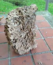 BugMeNot Pest Control image 13