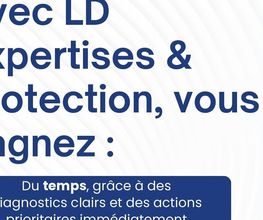 LD Expertises et Protection image 3