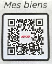 Mercier Alain image 10