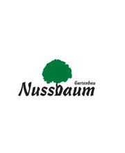Nussbaum Gartenbau Bild 1