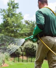 Nature's Turf image 13