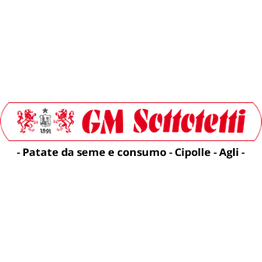 Gm Sottotetti logo