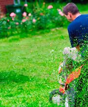 SIMIANE MOTOCULTURE image 1