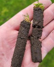 Rasenretter.de Bild 8