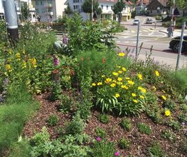 Blumen Joos GmbH Bild 9