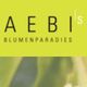AEBI's Blumenparadies GmbH
