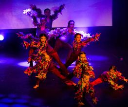 Dance Gallery Bild 9