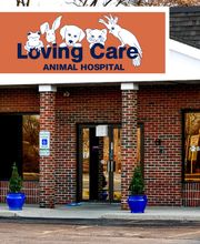 Loving Care Animal Hospital image 3