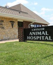 Crysler Animal Hospital image 7