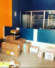 Gallery Professionale