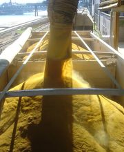 Rüegsegger Transport AG Bild 13