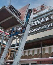 Feron Louis image 13