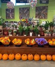 Holiday Market image 8