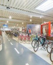 B.O.C. - BIKE & OUTDOOR COMPANY GmbH & Co. KG Bild 7