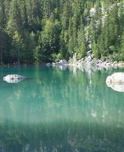 Régis Brunel E.I image 2