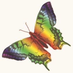 Naturheilkunde-Praxis Inga Tulach, Heilpraktikerin