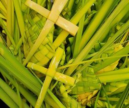 Spar image 4