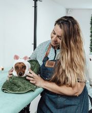 The Black Poodle Groom & Care S.L. imagen 1