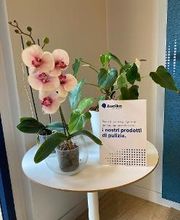 Audika Centri Acustici - Scandicci immagine 13