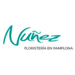 nunez-logo.jpg