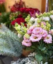 Fleur Evasion Sàrl Bild 5