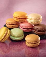 Comptoir du Surgelé image 4