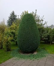 Chraftgrüen GmbH Bild 1