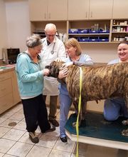 Deer Park Veterinary Hospital image 2