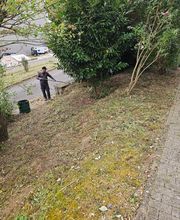 Müller Garten & Haus Bild 6