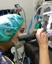 Clínica Veterinaria Okapi imagen 9