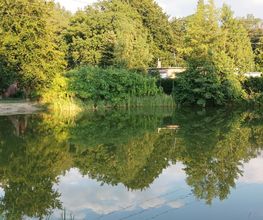 Camping & Ferienpark Waldfrieden Bild 6