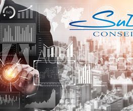 Sudefi Conseils image 2