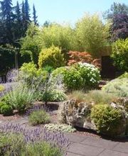 Gartenbau Anton Siemens Köln