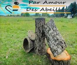 Par Amour Des Abeilles image 1