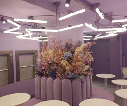 Evin Decor image 13
