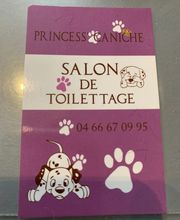 PRINCESS CANICHE image 2