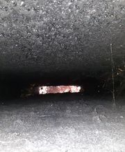 CF Ramonage image 13