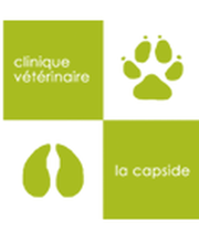 La Capside image 3